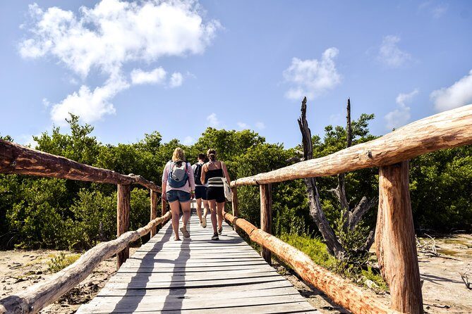 Punta Sur Eco Beach Park Electric Bike Tour in Cozumel - Meeting at Beach Bum Cozumel: Where Check-In Starts