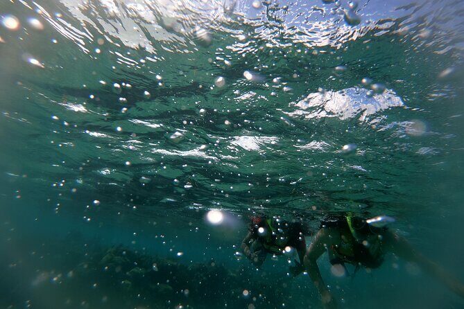 Reef Snorkel In National Park In Puerto Morelos With Lunch And Transportation - Tequila Tasting: Optional Learning or Time Sink?