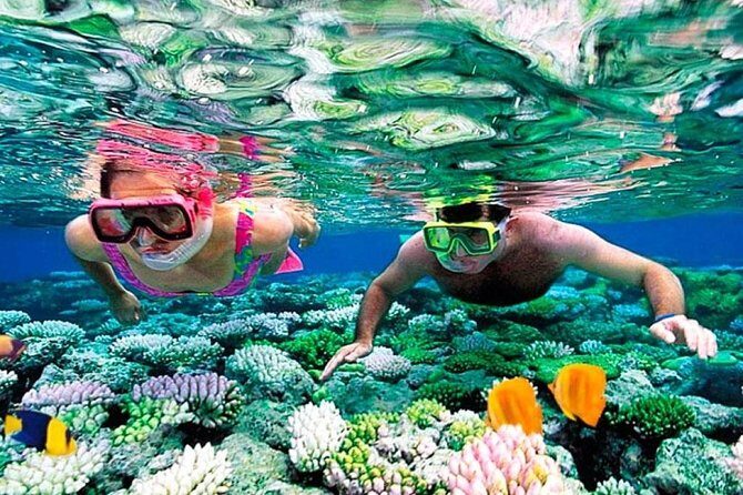 Reef Snorkel, underwater adventure in Puerto Morelos With Transportation & Lunch - Getting There: Pickup Windows From Cancun, Playa, and Tulum