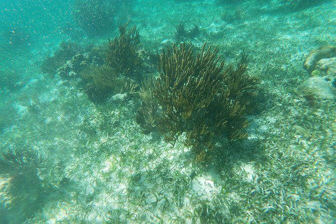 Reef Snorkeling with ATV, Zipline, Cenote that includes lunch and transportation - Stop 2: ATV Circuit Through the Jungle (45 Minutes of Controlled Chaos)