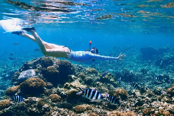 Reef Snorkeling with ATV, Zipline, Cenote that includes lunch and transportation - Stop 1: Puerto Morelos Reef Snorkeling on a Major Coral System