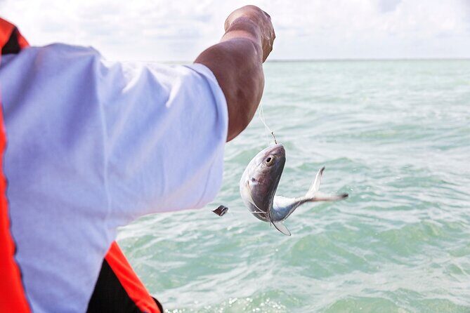 Relaxing private boat tour to Cabo Catoche with fishing - Dolphins, plus how to think about wildlife on a boat