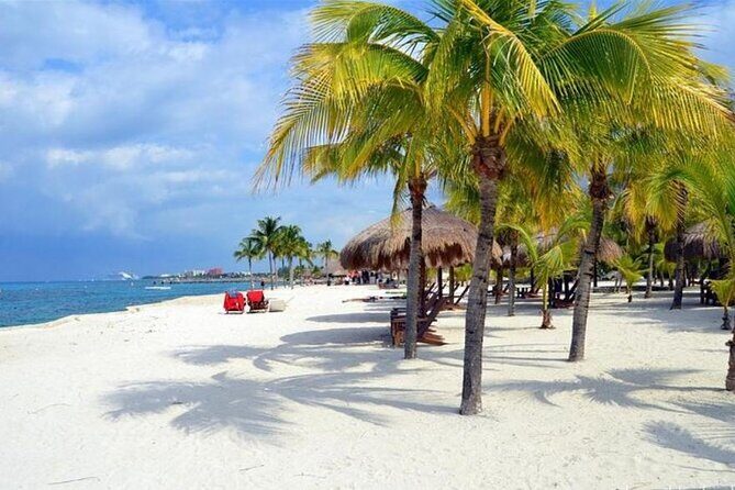 Rental Jeep Wrangler 4-Door Automatic 24h Cozumel Excursion - Should you book this Cozumel Jeep rental?