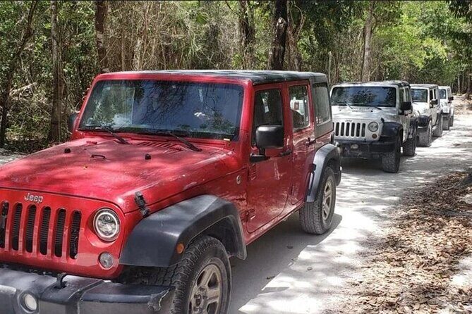 Rental Jeep Wrangler 4-Door Automatic 24h Cozumel Excursion - Pickup in Cozumel: how to avoid the lost-in-Cozumel problem