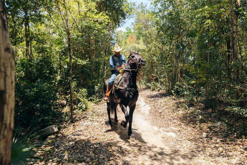 Rider Tour - Jungle horseback riding: about 35–40 minutes on the trails