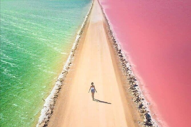 Rio Lagartos, Coloradas & Cancunito Beach from Merida - Getting There From Mérida: Meeting Point and Day Timing