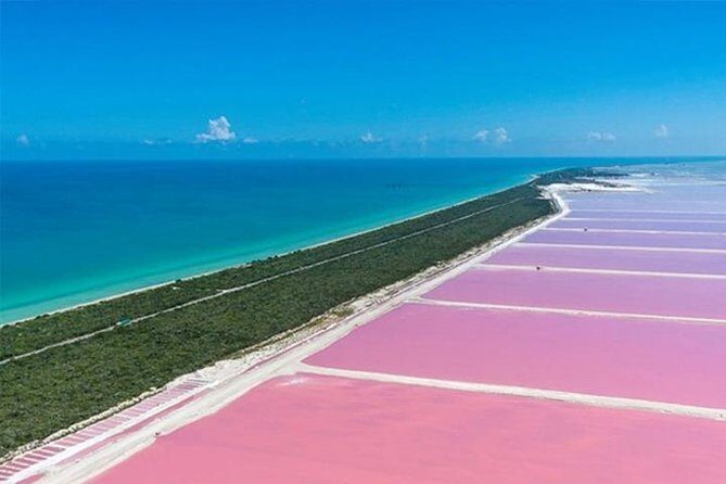 Río Lagartos y Las Coloradas Private Tour from Merida - Las Coloradas: The Salt Ponds That Change Color