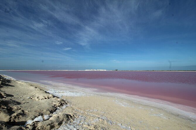 Rio Lagartos+Coloradas Tourist Collective (Lake Rosa)+Cenote - Cenote Hubiku: Swim, Park Tour, and Yucatán Tastings