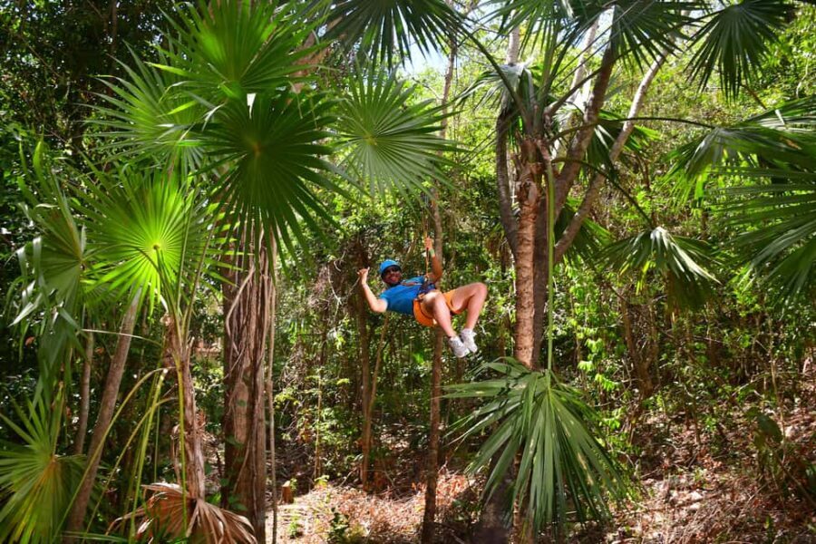 Rio Secreto Nature Reserve: Bicycle, Rappel & Ziplines Tour - Rappelling to Xibalbá: Controlled Adrenaline With a Real Payoff
