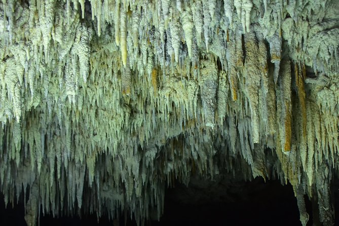 Río Secreto Playa del Carmen - Guides make the difference: from Daniele to Jared to Stephanie