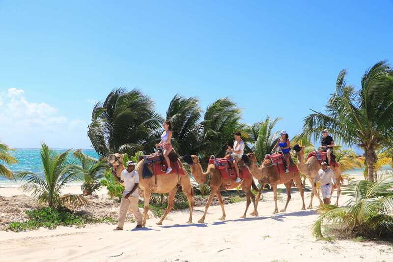 Riviera Maya: Camel Caravan Expedition and Beach Club Access - The route: dunes, tropical vegetation, and Caribbean Sea views