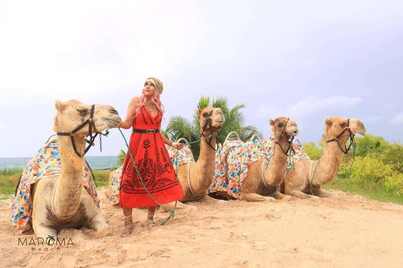 Riviera Maya: Camel Caravan Expedition and Beach Club Access - Maroma Beach Club access: where your time goes after the ride
