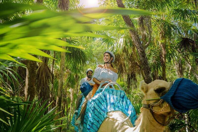 Riviera Maya: Camel Caravan Expedition and Beach Club Access - Getting to Maroma Beach without the headache