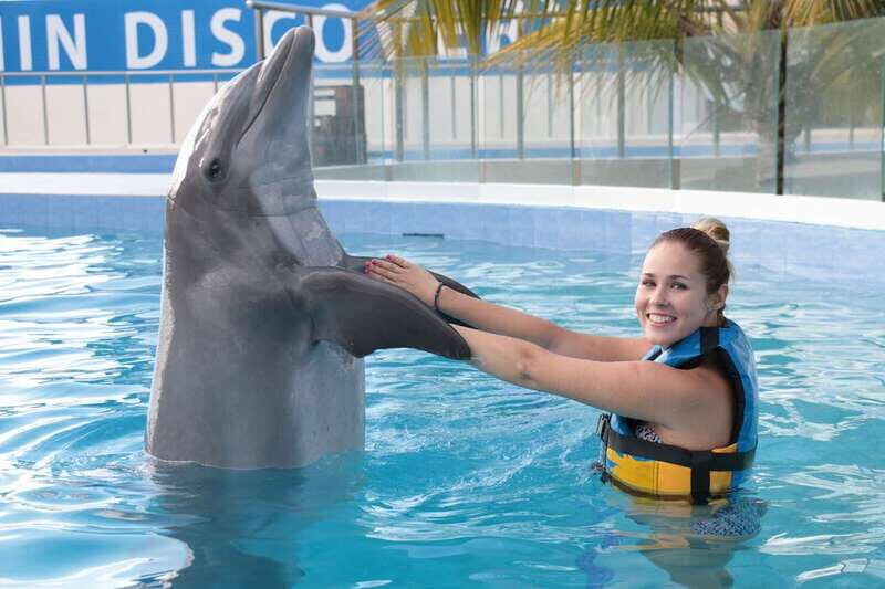 Riviera Maya: Dolphin Encounter with Beach Club Access - Rules that shape your day: no cameras, food limits, and dress basics
