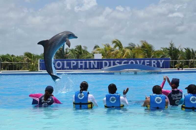Riviera Maya: Dolphin Encounter with Beach Club Access - Kids and height rules: who can participate and who should skip