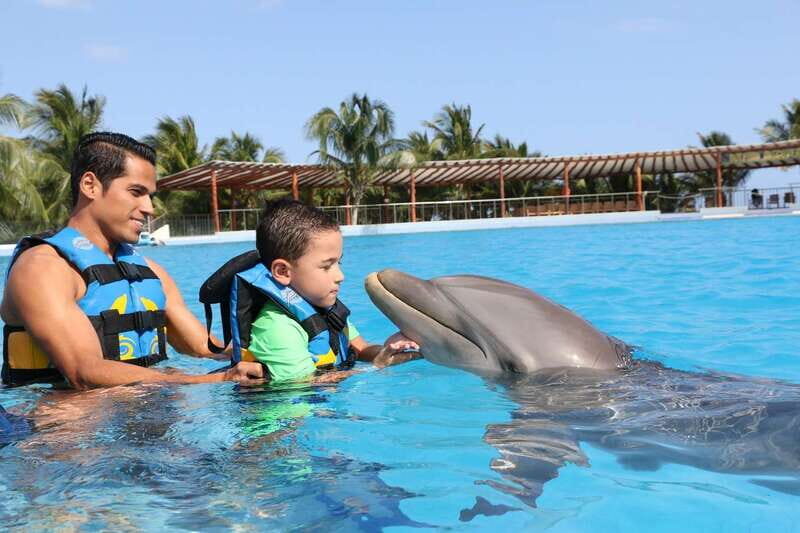 Riviera Maya: Dolphin Encounter with Beach Club Access - Hug, high-five, and gentle chaos (the interaction style)
