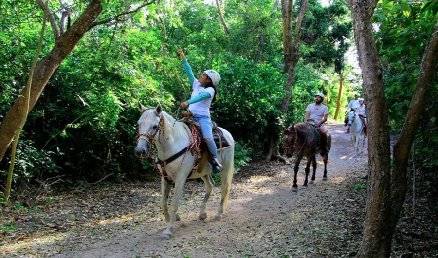 Riviera Maya: Horseback Riding at Rancho Bonanza - Small Group Size: Why it can feel like a private lesson