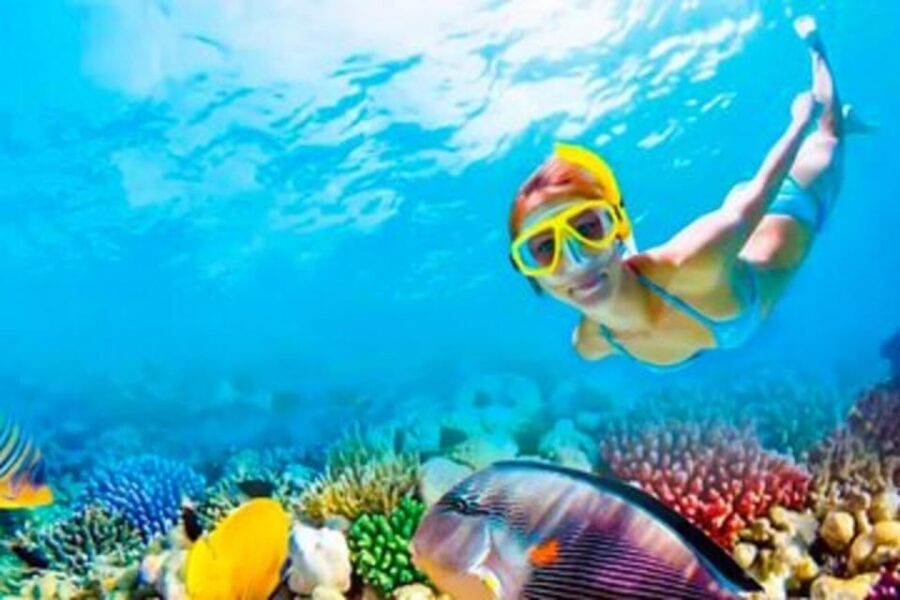 Riviera Maya: Isla Contoy and Isla Mujeres Full-Day Tour - Isla Contoy National Park: snorkeling over the Mesoamerican Barrier Reef