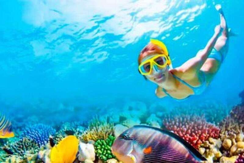 Riviera Maya: Isla Contoy and Isla Mujeres Full-Day Tour - The catamaran rhythm: the best parts and the realistic trade-offs