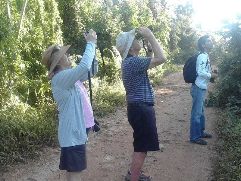 Riviera Maya: Puerto Morelos 4-Hour Bird Watching Tour - The Breakfast and Snack Break: Keep Your Energy Up