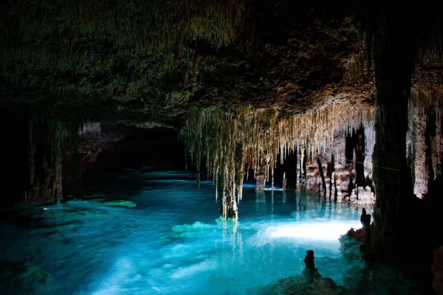Riviera Maya: Rio Secreto Natural Reserve Tour - Stalactites and stalagmites: why the guide talk matters