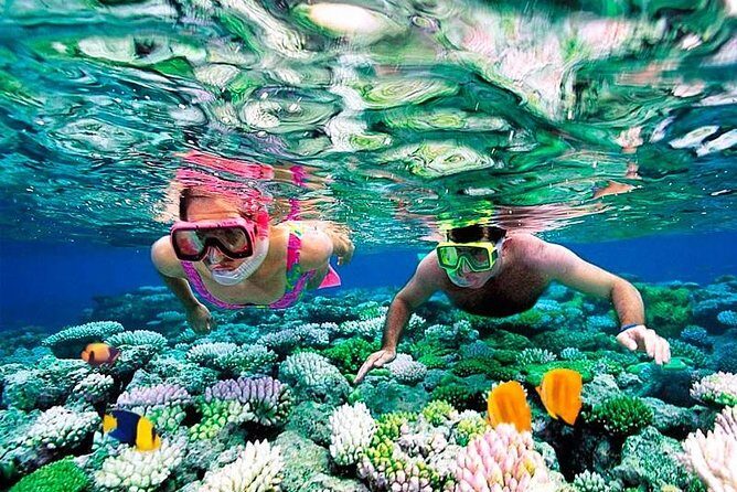 Riviera Maya Snorkeling - Snorkeling Day From Cancun: What You’re Really Signing Up For
