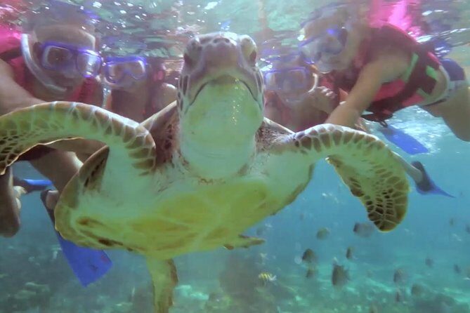 Riviera Maya Snorkeling - Stop 1: Puerto Morelos Snorkeling—Where the Boat Ride Becomes Part of the Show