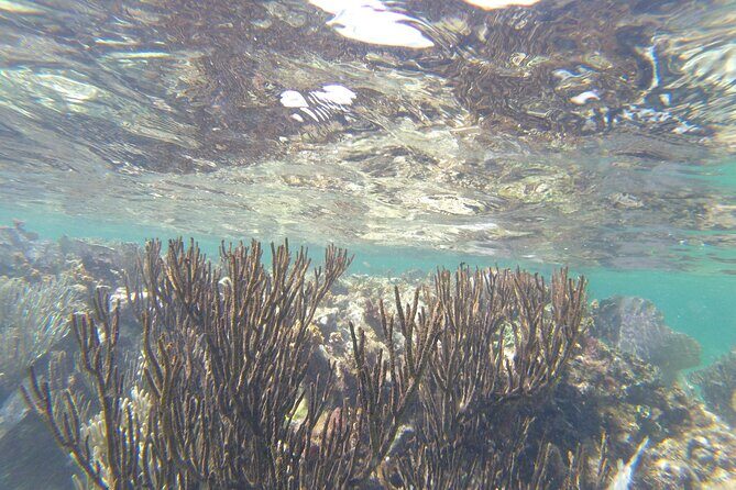 Riviera Maya Snorkeling - Group Size and Crew: Why a 20-Person Max Matters