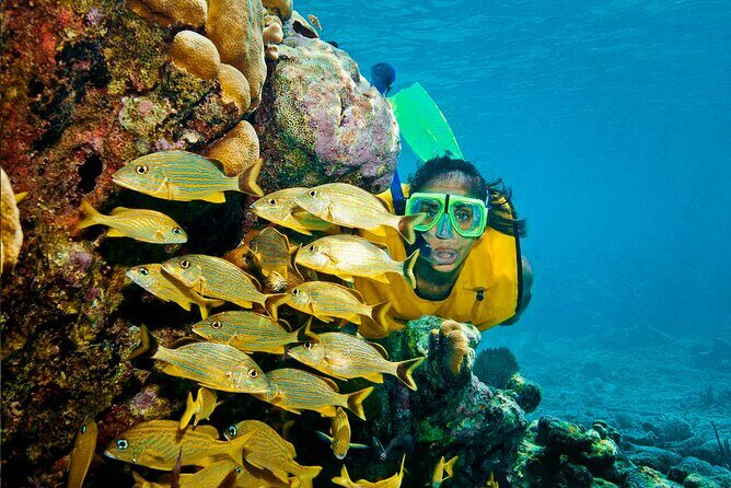 Riviera Maya Snorkeling Adventure: Lagoon, Cenotes Open & Cavern - Price check: why $119 can make sense for a Cancun-area day