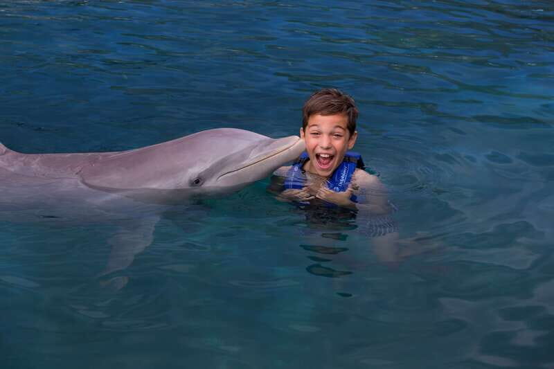 Riviera Maya: Swim with dolphins Interax - Key highlights worth planning around