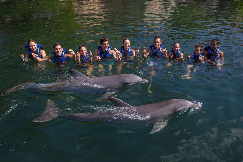 Riviera Maya: Swim with dolphins Interax - FAQ