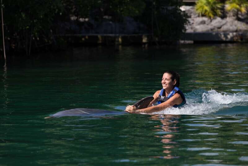 Riviera Maya: Swim with dolphins Interax - The 45-minute experience: what happens before you enter the water