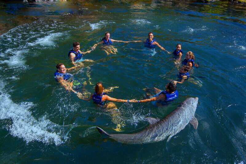 Riviera Maya: Swim with dolphins Interax - The 30 minutes in-water: games, touch, and guided interactions