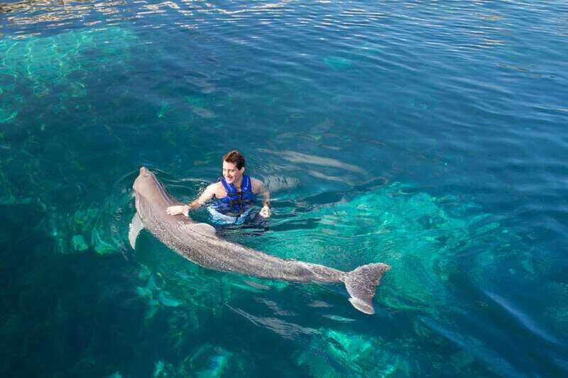 Riviera Maya: Swim with dolphins Interax - What’s included vs. what costs extra