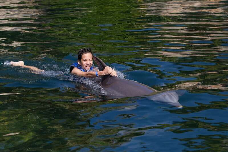 Riviera Maya: Swim with dolphins Interax - Should you book Riviera Maya Swim with Dolphins Interax?
