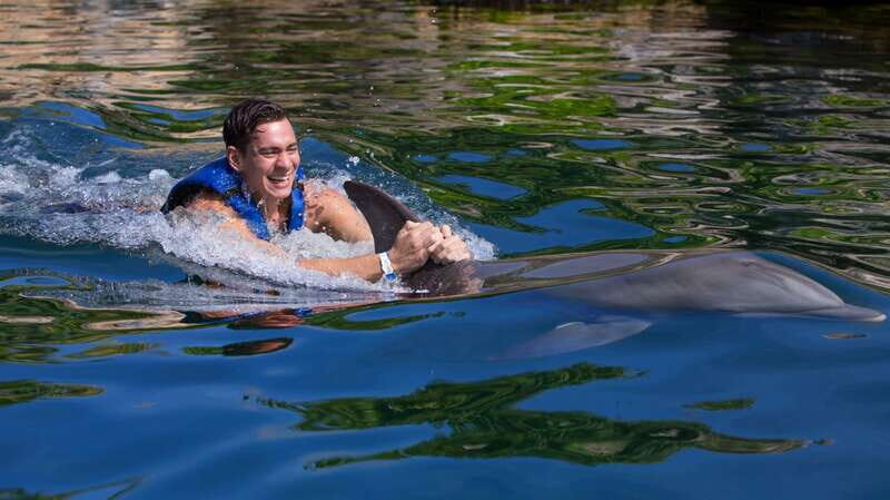 Riviera Maya: Swim with dolphins Interax - Checking in near Xcaret Park and getting ready fast