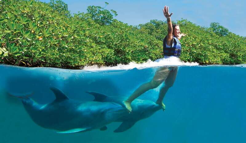 Riviera Maya: Swim with dolphins Primax - Key things I’d pay attention to
