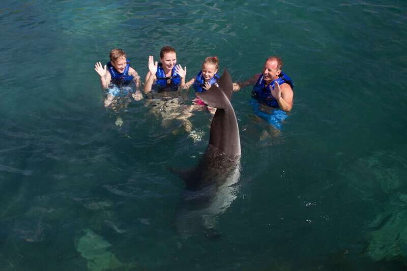 Riviera Maya: Swim with dolphins Primax - Quick tips to make your dolphin snorkel smoother