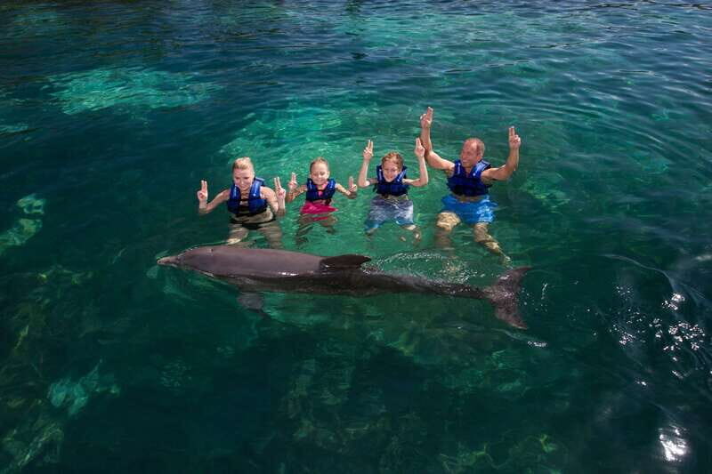 Riviera Maya: Swim with dolphins Primax - Your 1-hour dolphin session: 45 minutes in-water plus dolphin snorkeling