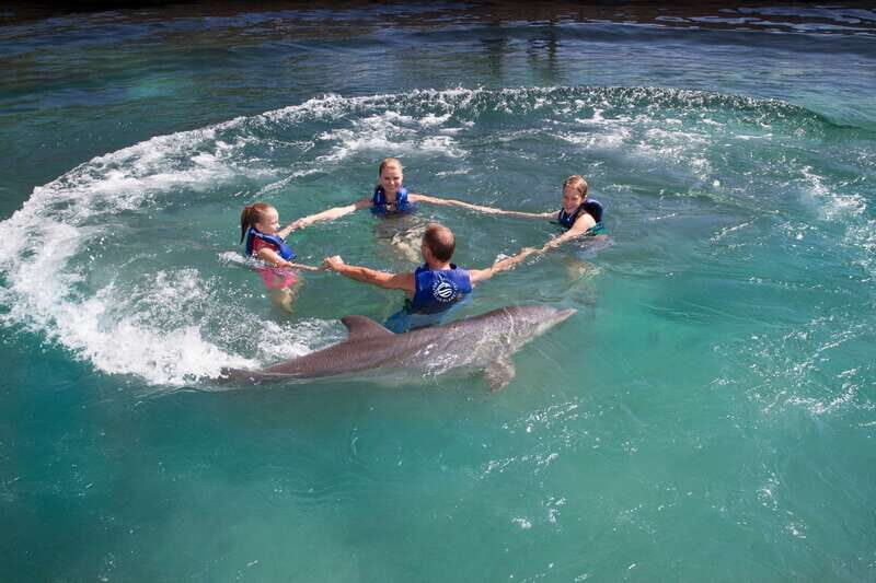 Riviera Maya: Swim with dolphins Primax - What the 18 activities mean for you in real life