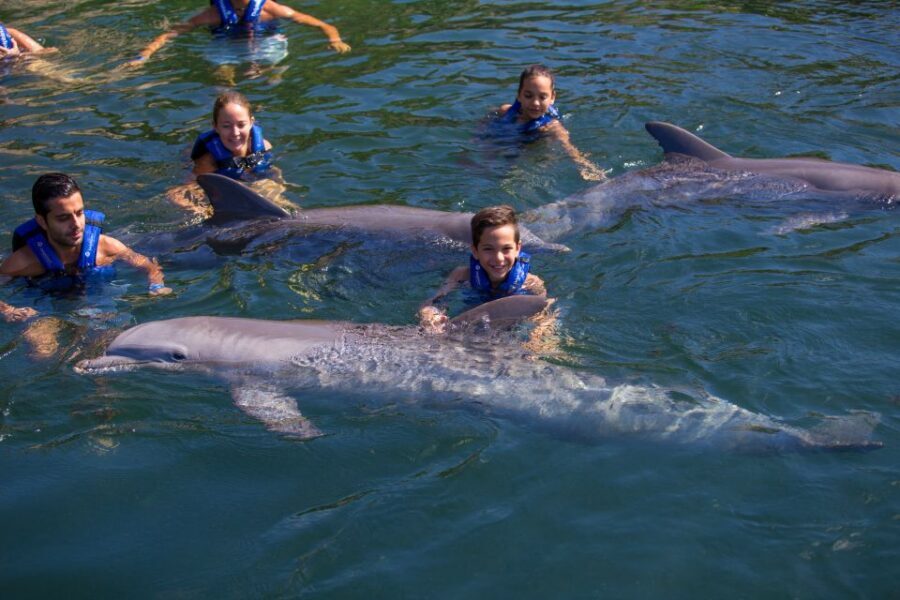 Riviera Maya: Swim with dolphins Primax - What to bring and wear for maximum comfort