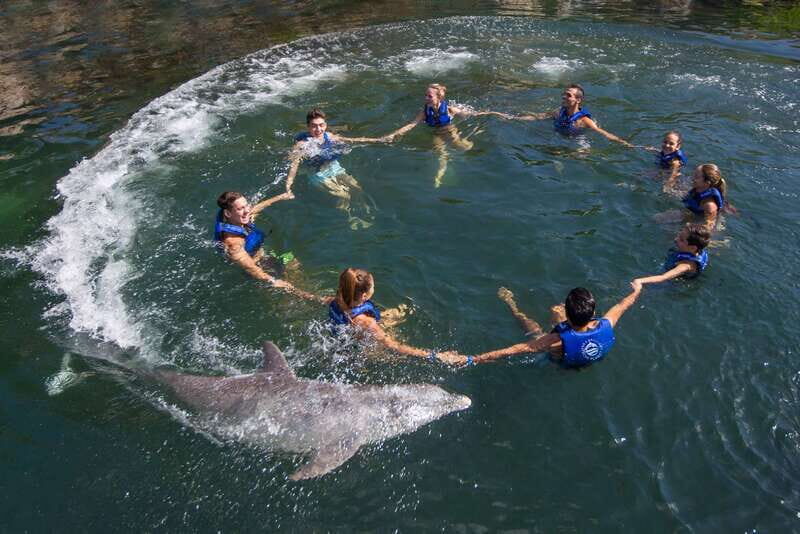 Riviera Maya: Swimming Experience with Dolphins - Your 45-minute schedule: short, focused, and staff-led
