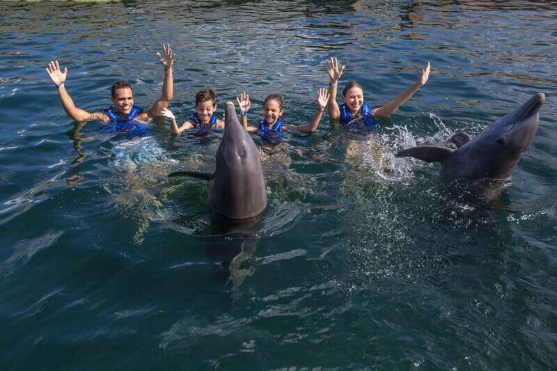 Riviera Maya: Swimming Experience with Dolphins - Price and value: what $127 really buys you, plus the tax