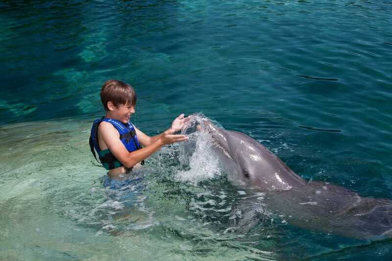 Riviera Maya: Swimming Experience with Dolphins - The small-group feel: up to 10 participants