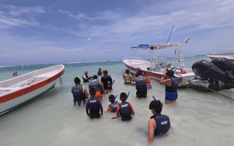 Riviera Maya: Tulum Ruins Tour, Turtle Swimming, Cenotes, and Lunch. - Akumal turtle snorkeling: respectful rules, real snorkeling gear, and the shared-water vibe