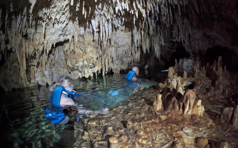 Riviera Maya: Tulum Ruins Tour, Turtle Swimming, Cenotes, and Lunch. - Price and value: $175 includes a lot, plus a $45 conservation fee in cash