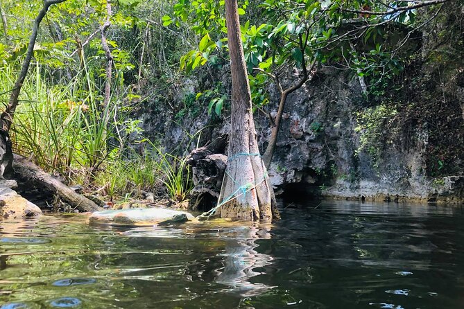 Sacred Adventure at Xenotes! 4 Different Cenotes + Round Transportation - Zip Lining and Rappelling: Fun, but Read the Limits