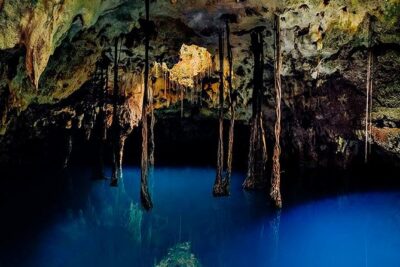 Sacred Adventure at Xenotes! 4 Different Cenotes + Round Transportation - The Cenote Circuit: Four Types in One Route