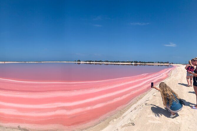 Safari in Rio Lagartos, Coloradas and Mayan Bath - Key Highlights You’ll Feel Immediately