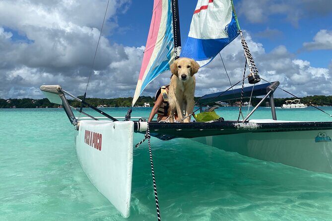 Sail away! Hobie Cat Tour Bacalar - The Real Deal on the 3-Hour Timeline